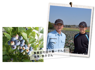 田中農園 | 地元いちばん 地元を食べよう北九州！北九州市の地産地消